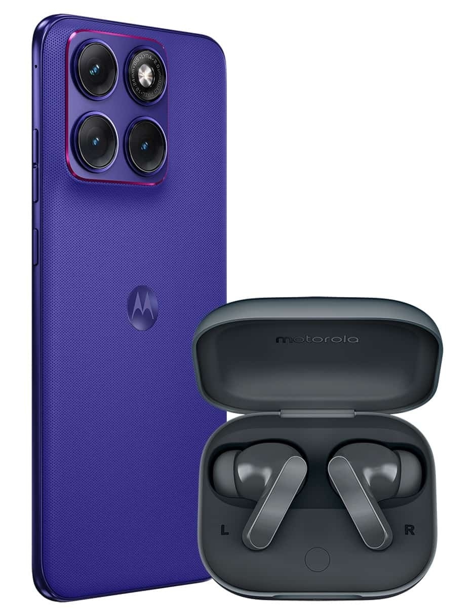 Morado 4