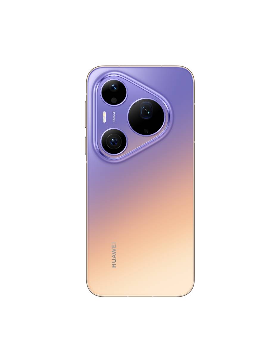 Morado 2