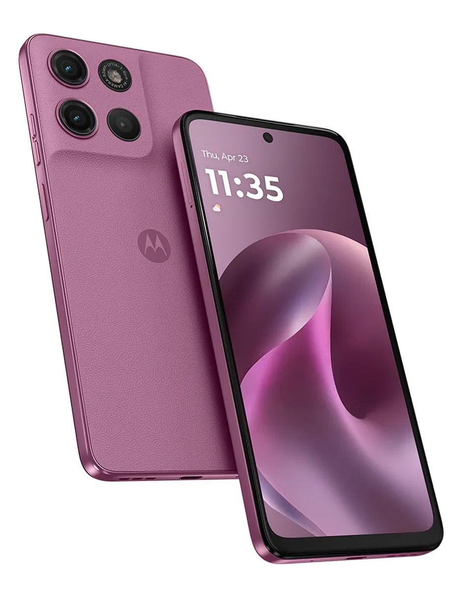 Rosa 3