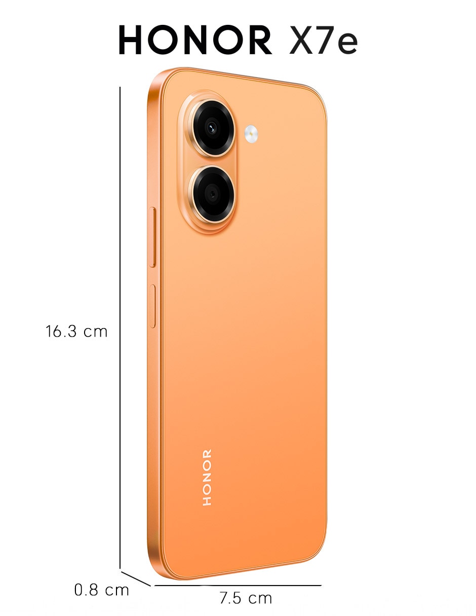 X6e LCD / TFT 6.61 pulgadas Telcel 6